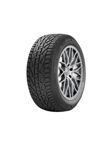 RIKEN SUV SNOW 225/60 R17 99H